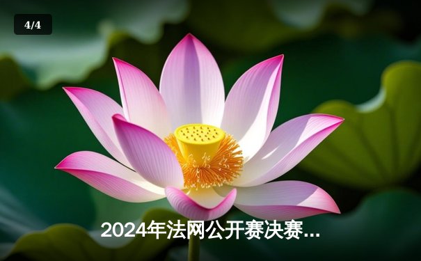2024年法网公开赛决赛：卡洛斯·阿尔卡拉斯逆转德约科维奇夺冠 - 4