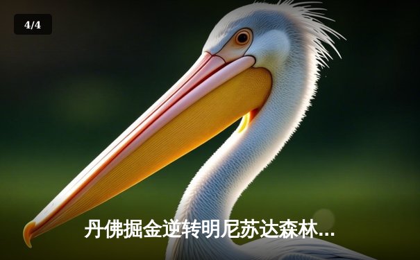 丹佛掘金逆转明尼苏达森林狼，约基奇40分三双锁定赛点 - 4